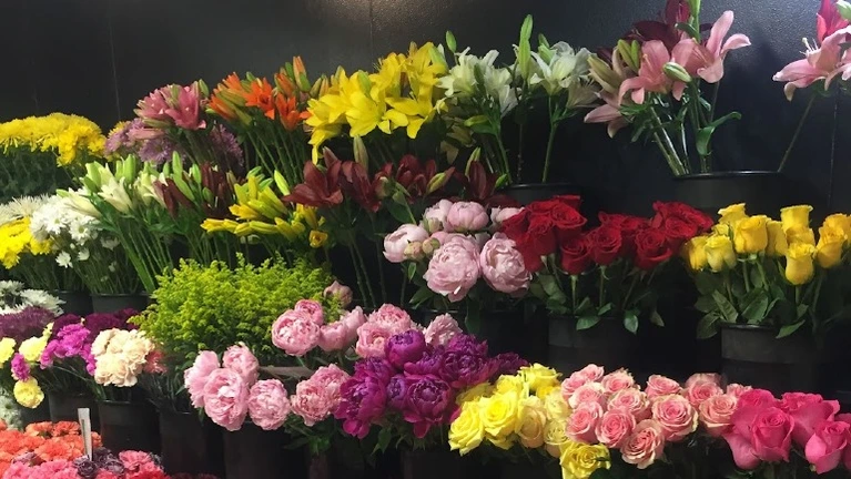 Large custom walk in cooler