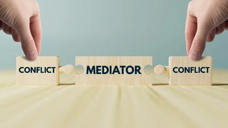 30+Yr. Legal Services/Mediation ADR Firm Remotely Operated