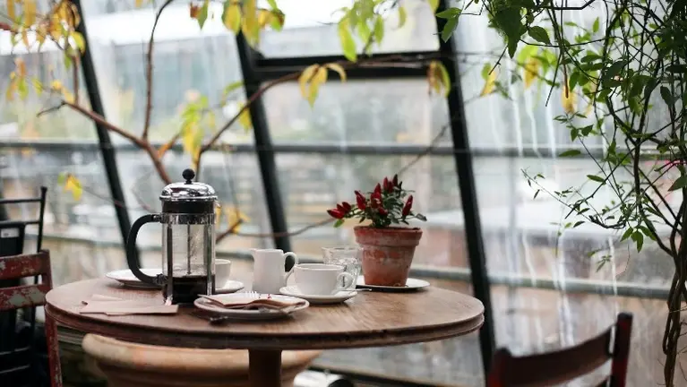 Cozy Cafe / Restaurant