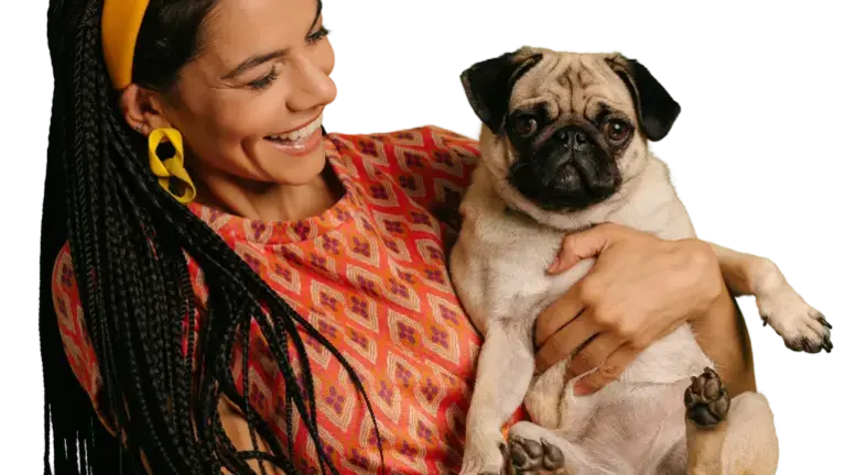 Stable, Differentiated Dog Treat Bakery