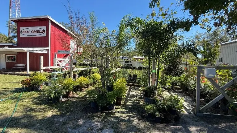 Seize the opportunity to own a well-established nursery/plant business