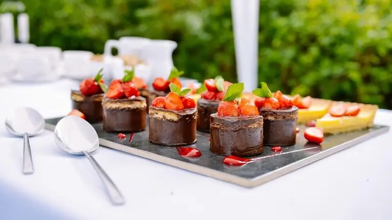 Profitable Catering Business for Sale   Nashville, TN