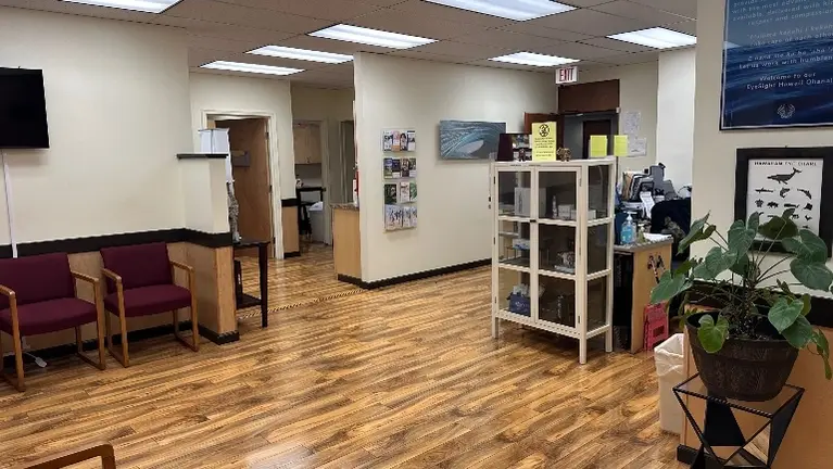 MAUI Ophthalmology Practice for Sale
