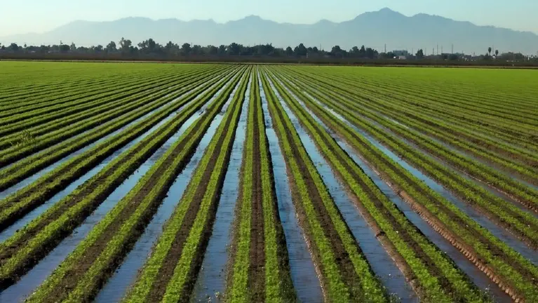 Irrigation Company Family Owned 53 Years