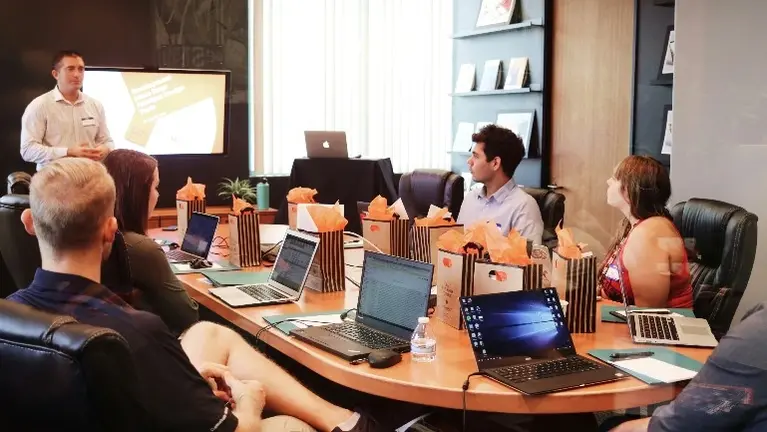 Consulting and Software Business with Blue-Chip Client