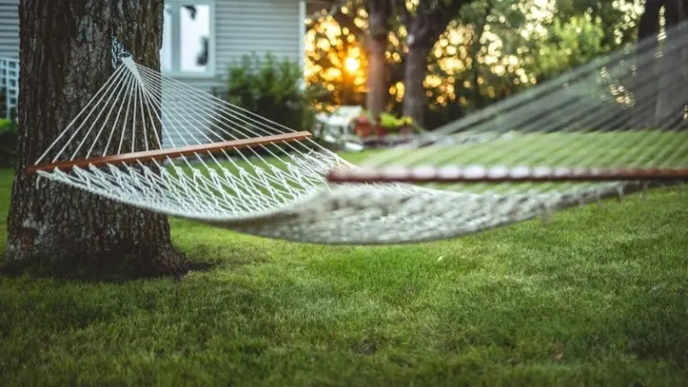 Lucrative Seasonal Mosquito Control Business with Flexible Operations