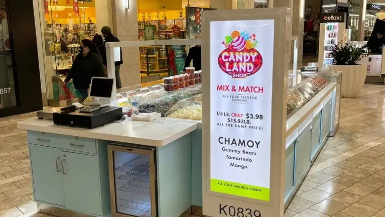 Front - register area , check out.