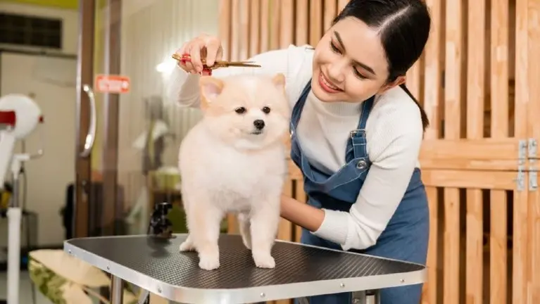 Turnkey Pet Grooming Business with Personalized Service Model