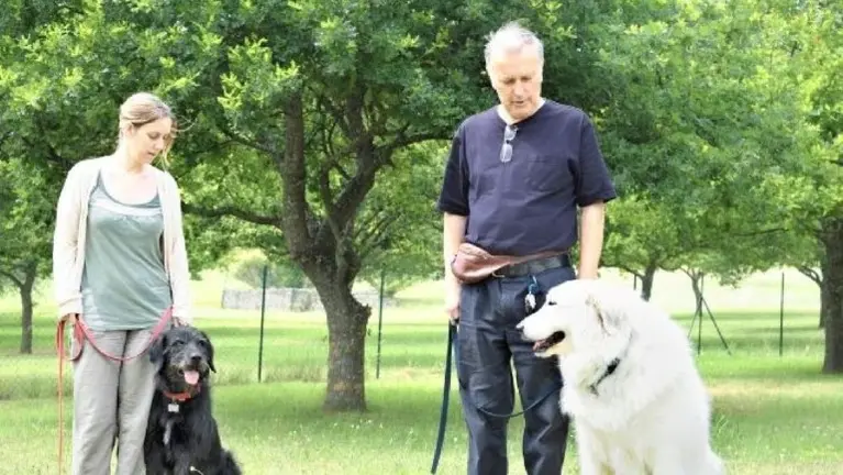 High-Demand Territory with World’s #1 In-Home Dog Training Brand