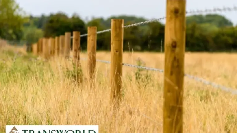 Established Wood Products Supplier with 50 Acres of Real Estate