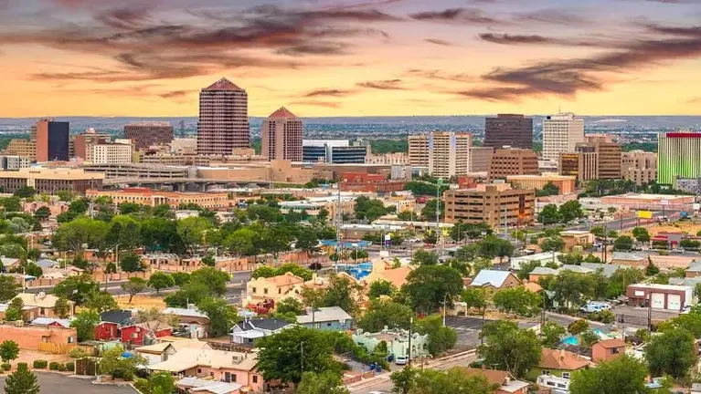 Turnkey Junk Removal Operation Available in Albuquerque