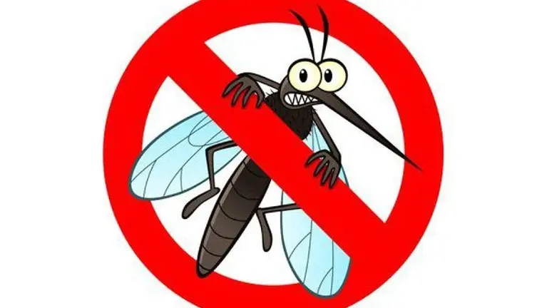3 in 1 Business  Model. Mosquito/Pest control and Outdoor Lighting.