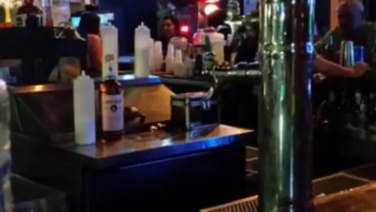 Multuple Income Bar , Video Gaming , Huge Beer Garden , Restaurant Din