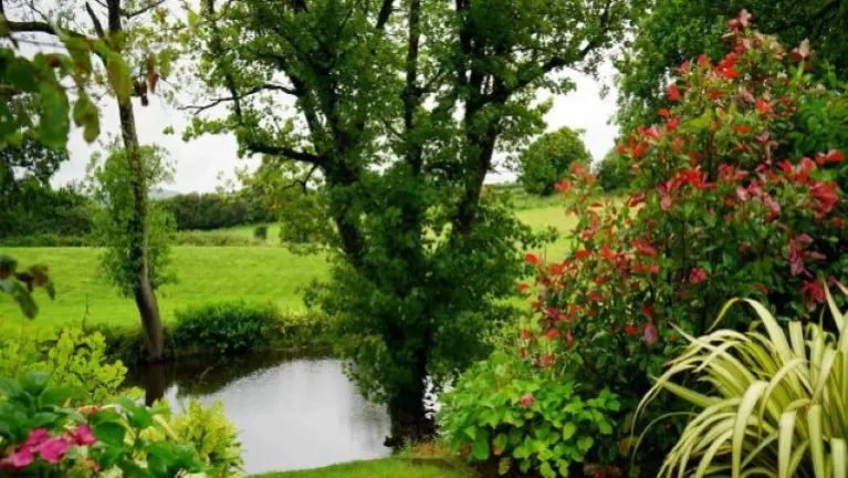 Landscaping 