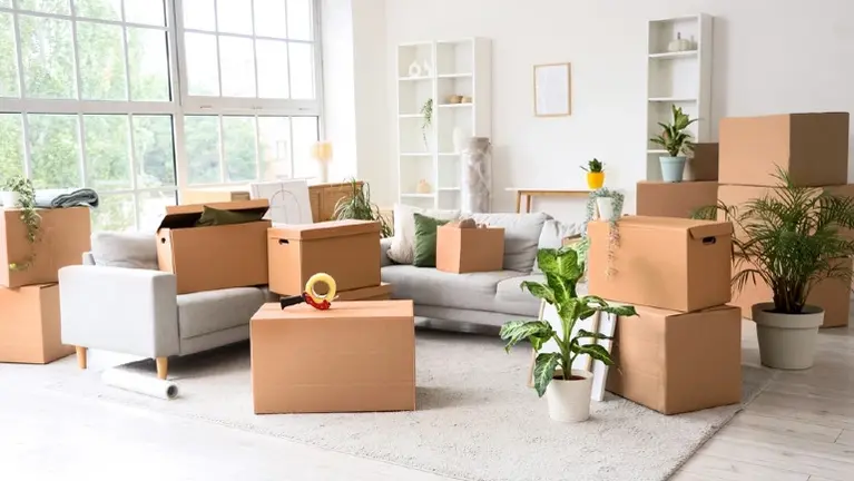 Small but Growing and Profitable Moving Company