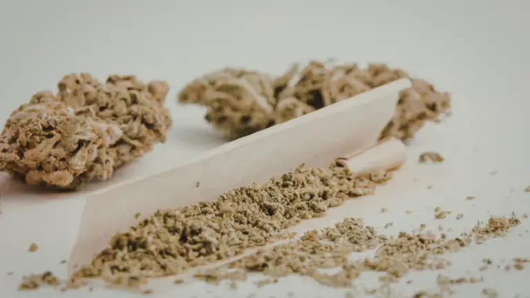 Licensed Cannabis Cultivation and Manufacturing Operation