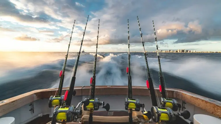 Exclusive Live Bait Business with No Competition – Back On Market