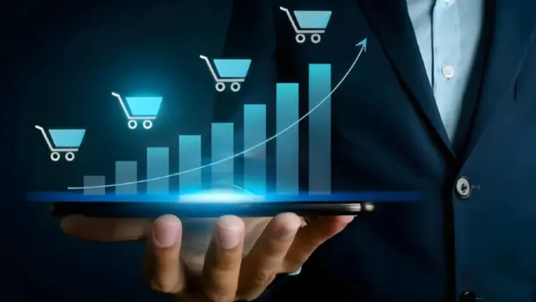 Established Multi-Store eCom Operations Business