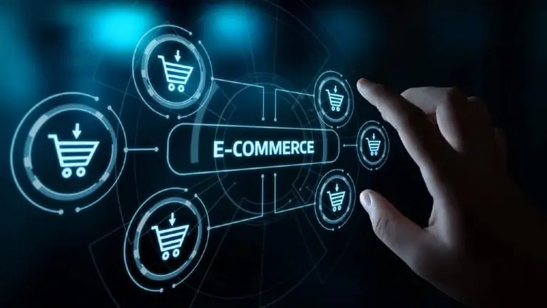 Seasonal E-Commerce Business