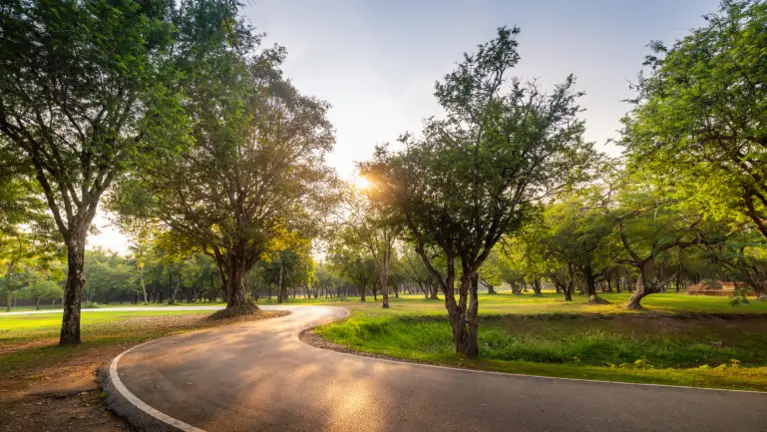 Profitable Landscaping and Snow Management Company
