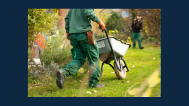 Landscape- Design, Build & Recurring Maintenance