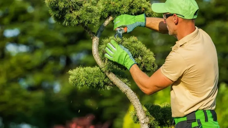 Established Landscaping & Snow Removal Company | $500K SDE | 30+ Years