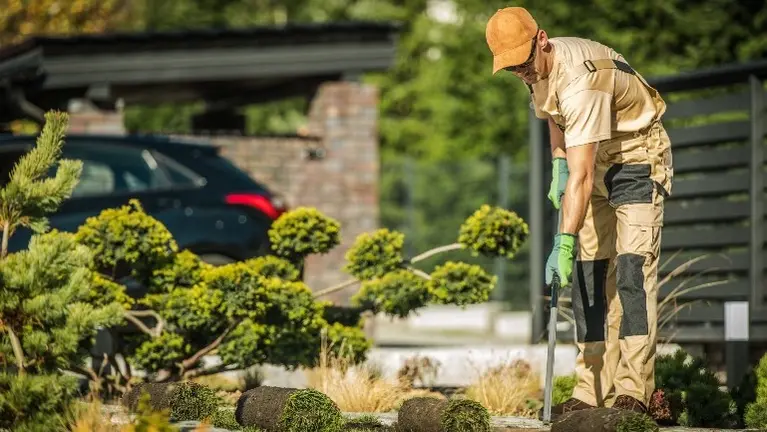 Landscaping Business (Renovation, Irrigation, and Maintenance)