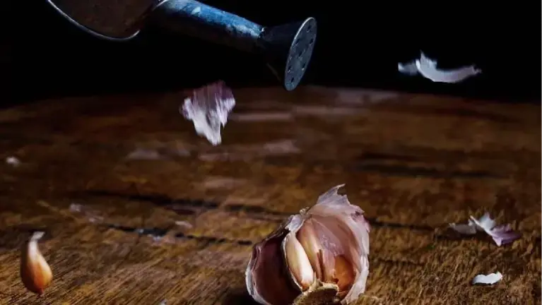 Garlic Fermentation demystified