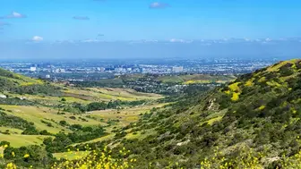 listing-image