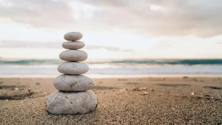 Thriving, Turnkey, Health & Wellness Practice