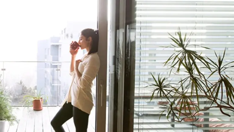Established Budget Blinds Franchise in Troy and Sterling Heights MI
