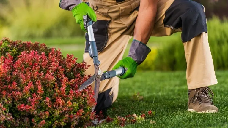 Well-Established Landscaping & Maintenance Business for Sale