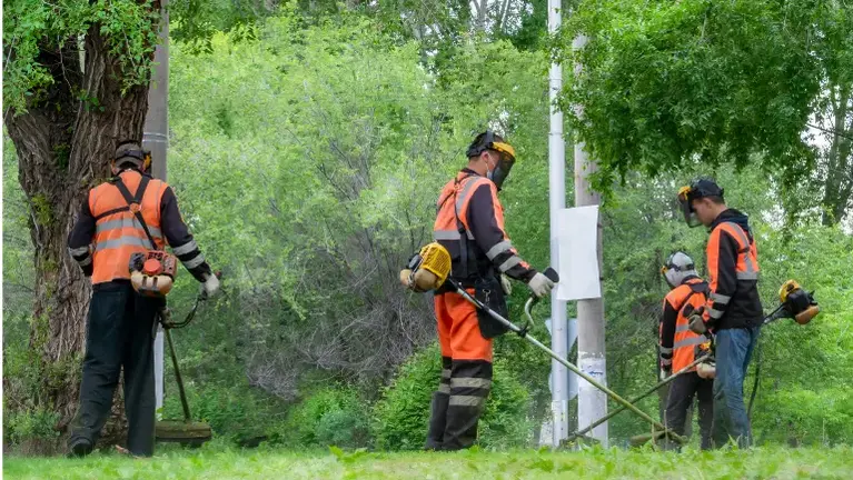 Landscaping Business – 20 Years of Proven Success
