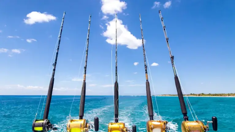 Turnkey Fishing Charter Business | High-Demand | Rare Licensing