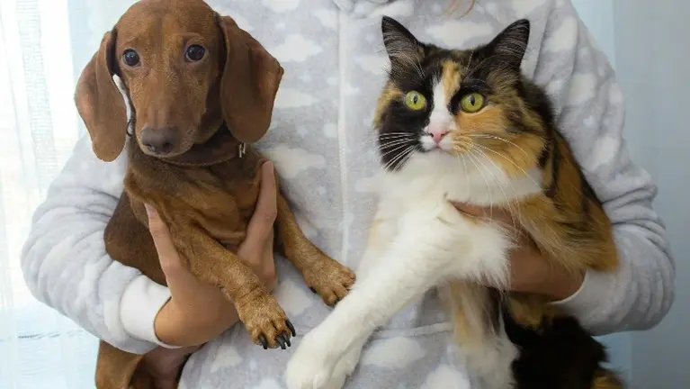 Highly Profitable Veterinary Clinic