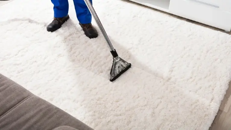 Luxury Fabric and Upholstery Cleaning Company