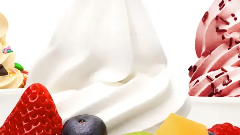 Two Profitable Yogurt Shops