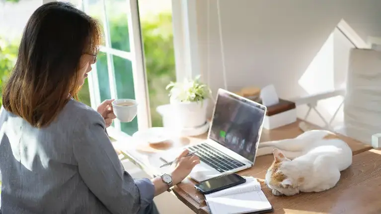 Established Service Operator Business Opportunity with Proven Systems