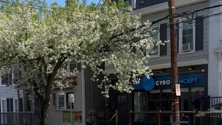 Gyro Concept in Easton PA, Lafayette Campus