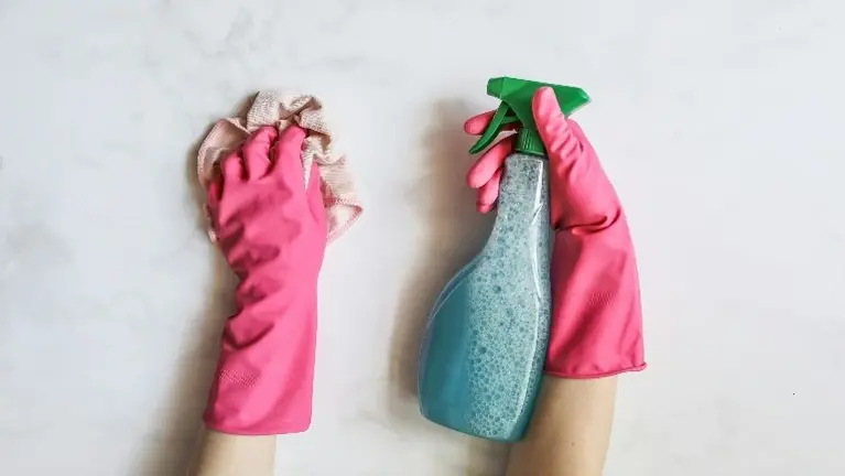 Home Cleaning Services