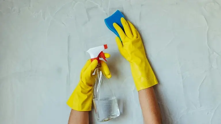Home Cleaning Services