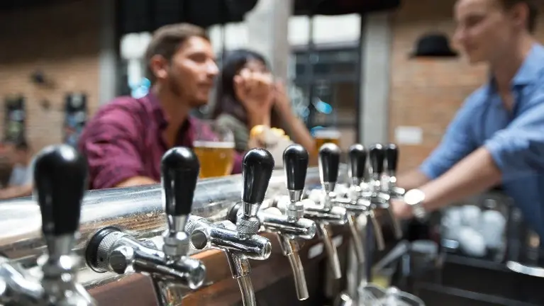 Craft Brewery in the Twin Ports