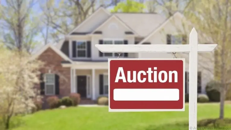 Established Auction & Liquidation Business