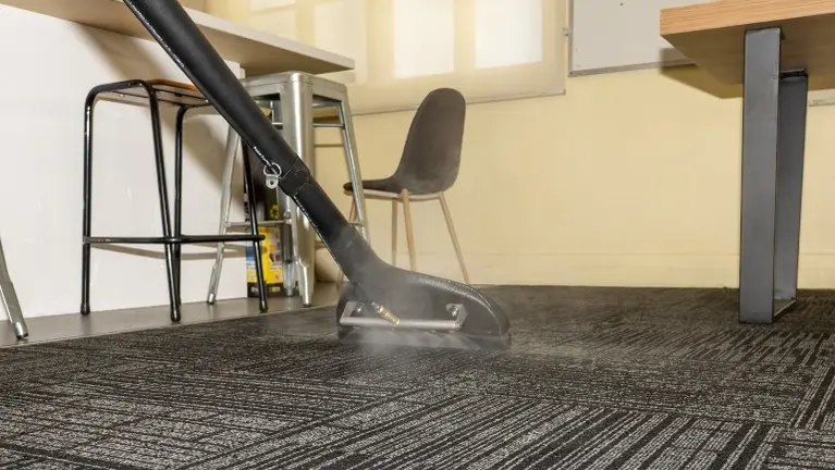 Established Carpet Cleaning Business