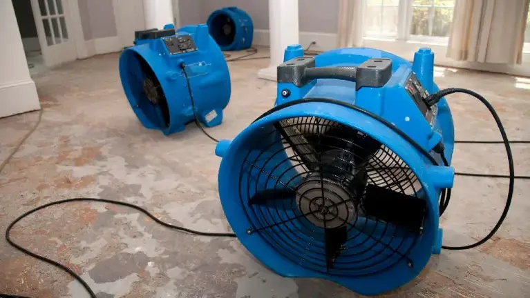 Turnkey Property Restoration Franchise Opportunity in Boise