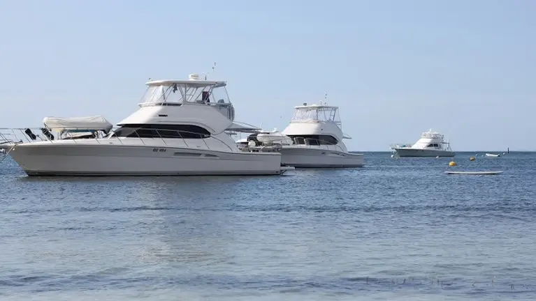 Established Boat Repair and Restoration Shop - Semi Absentee