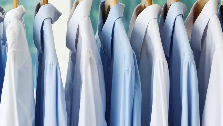 2- Location Southeast Premier Dry Cleaner ** Real Estate Included**
