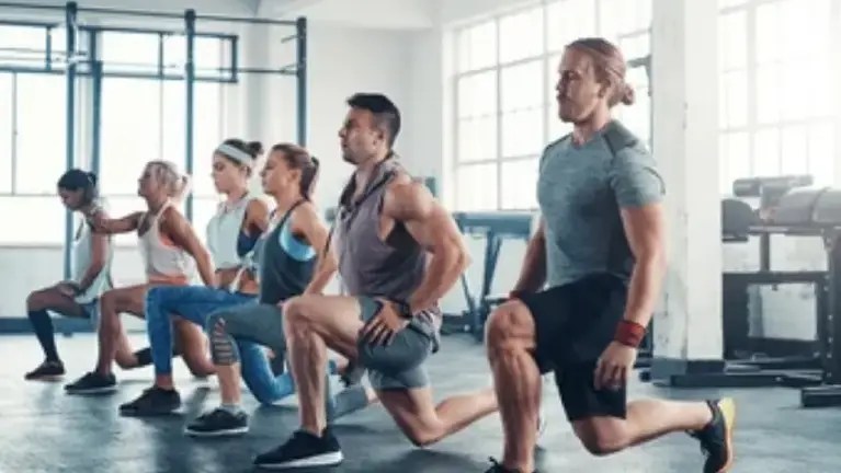 Established Gym