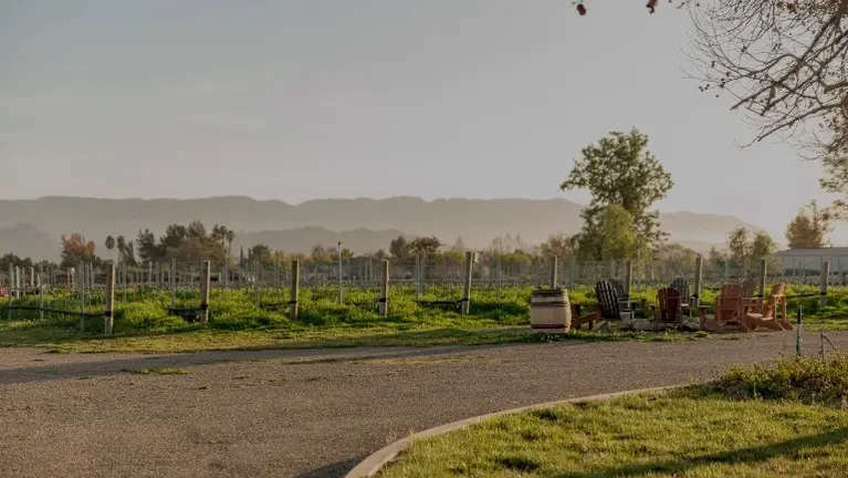 [UNDER CONTRACT] Ultra Premium & Profitable Winery 
