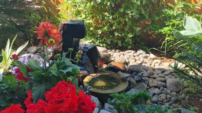 Rock and Flower 